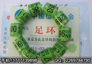 鸽子统一足环_鸽子足环号查询_公棚鸽子足环