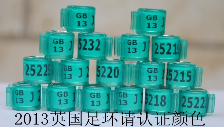 gb足环