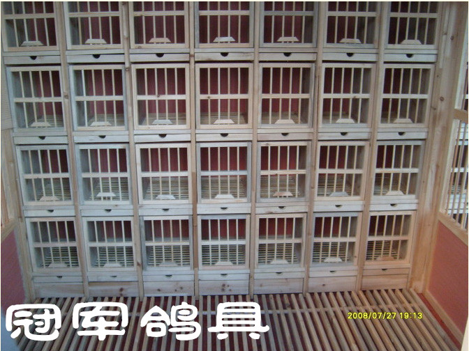 鸽舍内部产品展示--中信网鸽业大全