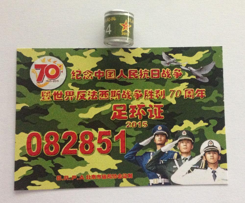 ´ڞg[DƬ