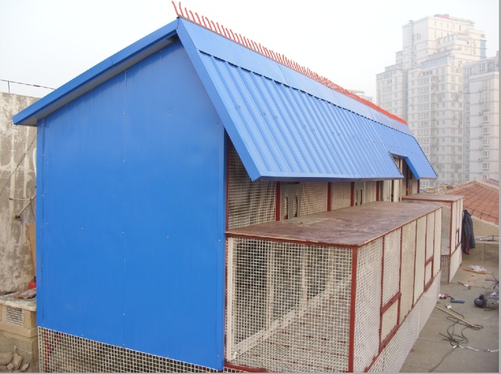 彩钢鸽舍,中国第一品牌.