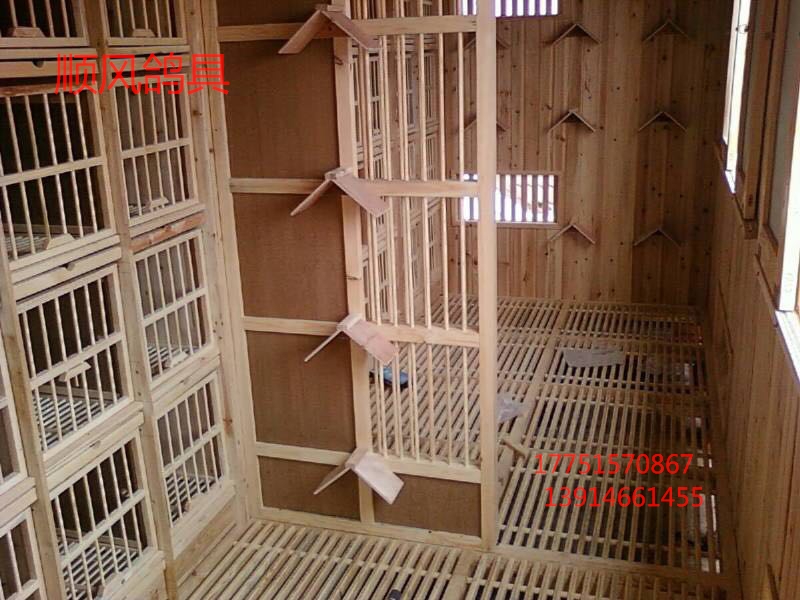 鸽舍内部产品展示--中信网鸽业大全