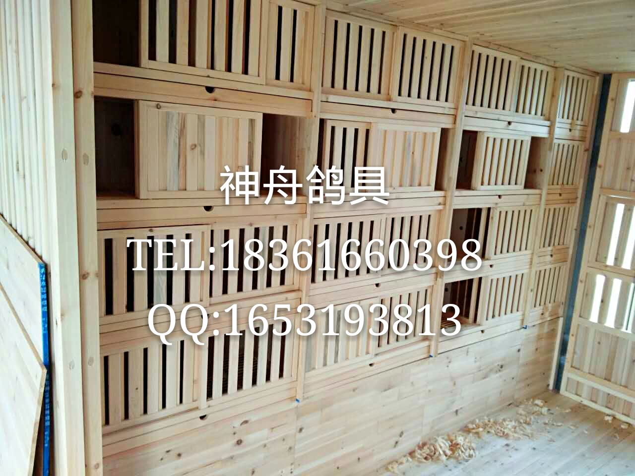 鸽舍内部产品展示--中信网鸽业大全
