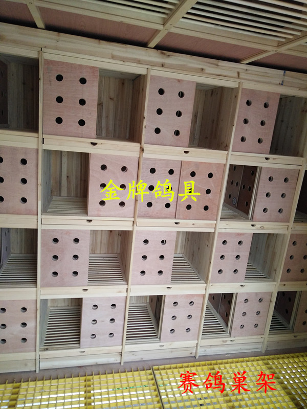 赛鸽巣架-金牌鸽具-中信网鸽业大全