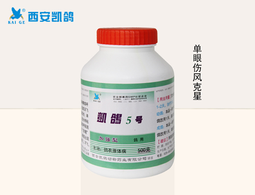 【凯鸽5号】500g 单眼流泪 眼睑发红 肿胀 单眼