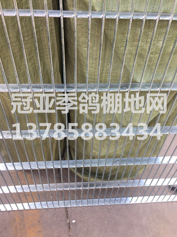 热镀锌钢格地网 公棚地网 鸽棚地网 鸽舍地网 信鸽地网