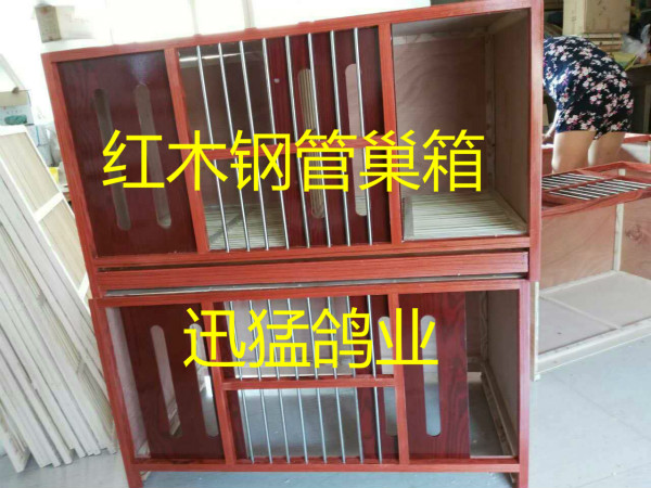 红木钢管 巢箱种鸽配对笼 鸽窝信鸽鸽子用品 木质巢箱