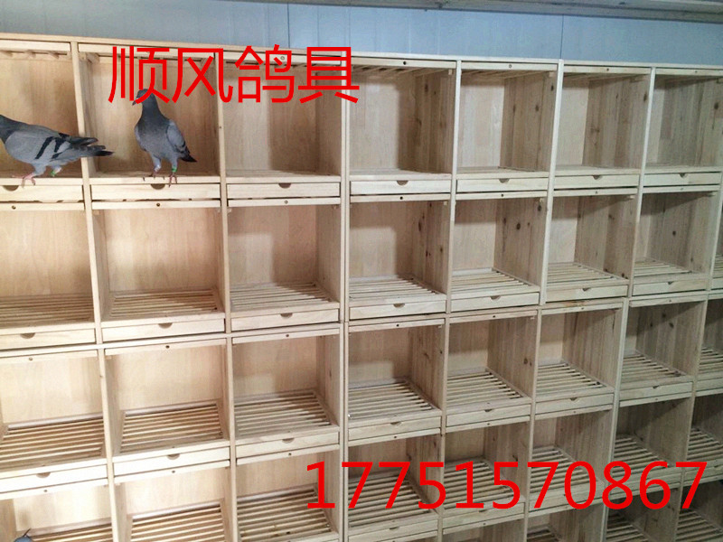 赛鸽幼鸽巢架产品展示--中信网鸽业大全