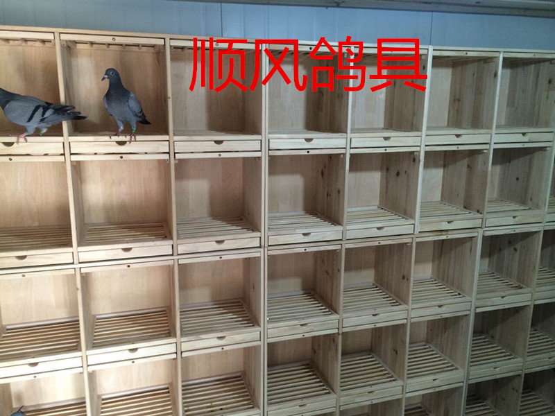 巢箱