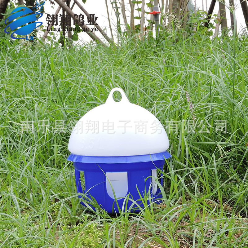 信鸽用品用具信鸽饮水器水壶鸽子水槽鸟用水壶6.5L