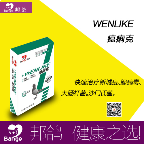 邦鸽瘟痢克清理肠道信鸽赛鸽用品包邮产品展示