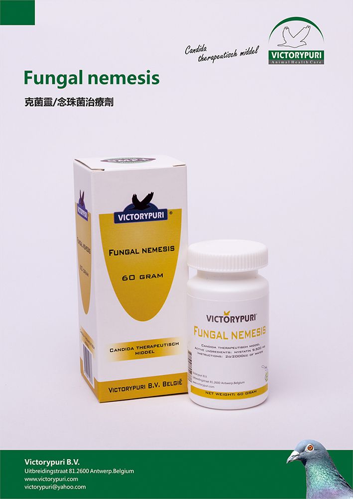 克菌灵\/念珠菌治疗剂.粉剂(Fungal nemesis)产品