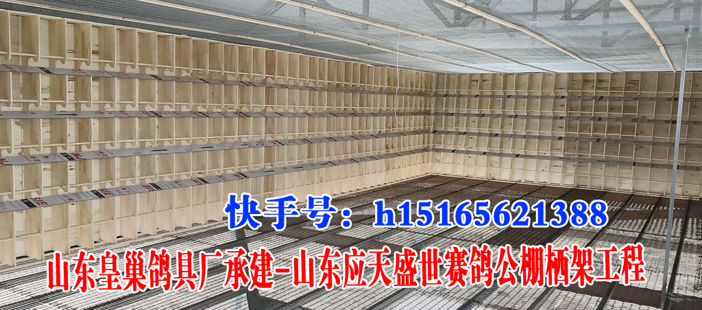 山东皇巢鸽具承建-山东应天盛世栖架工程