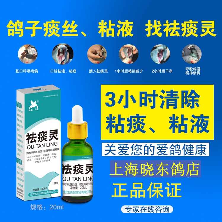 凯鸽鸽药【祛痰灵】20ml/瓶 清除呼吸道粘痰,浓痰