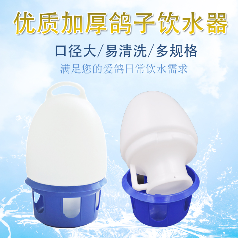 信鸽用品用具信鸽饮水器水壶鸽子水槽鸟用水壶6升6l透明