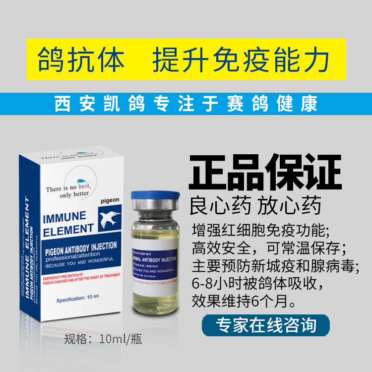 20201008155238.jpg