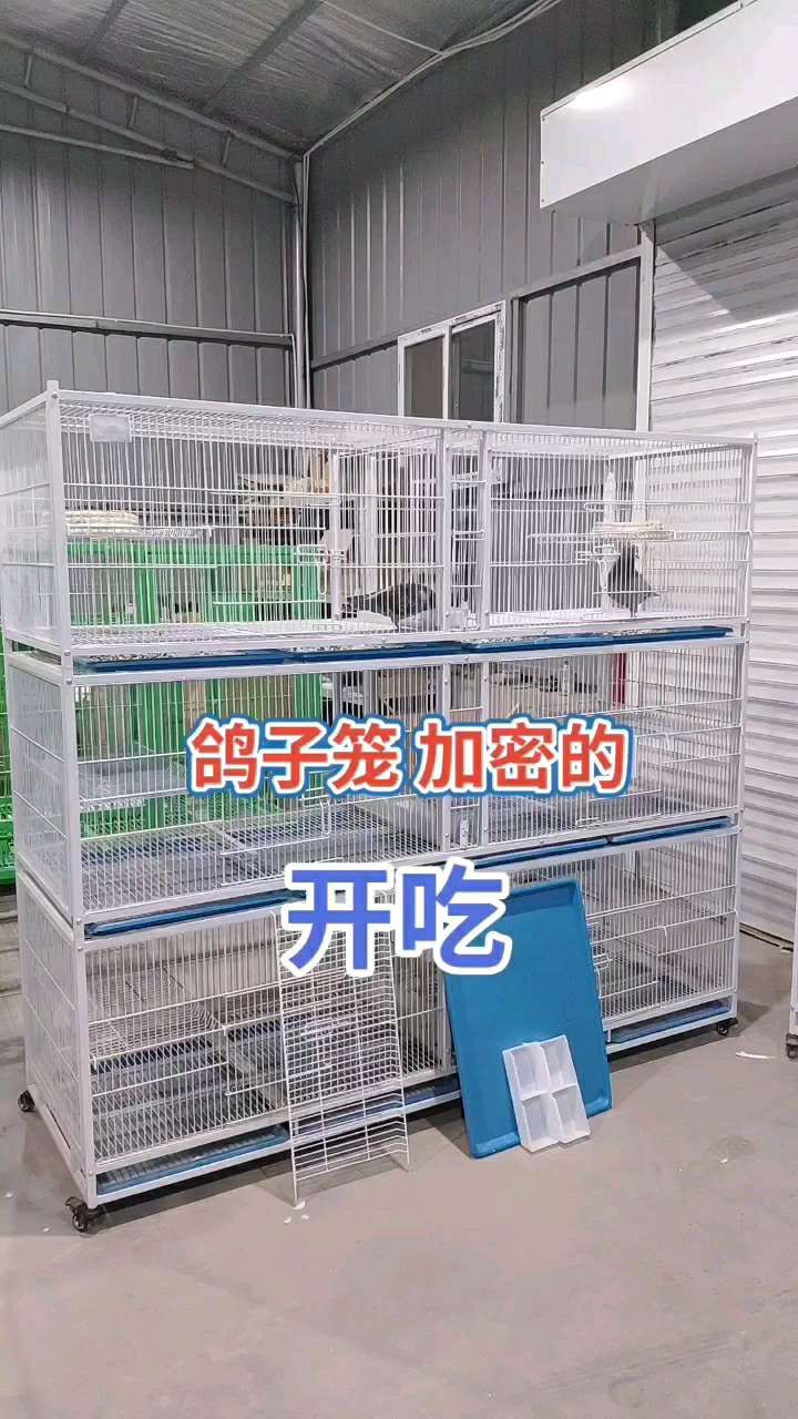 20201223095351897.jpg