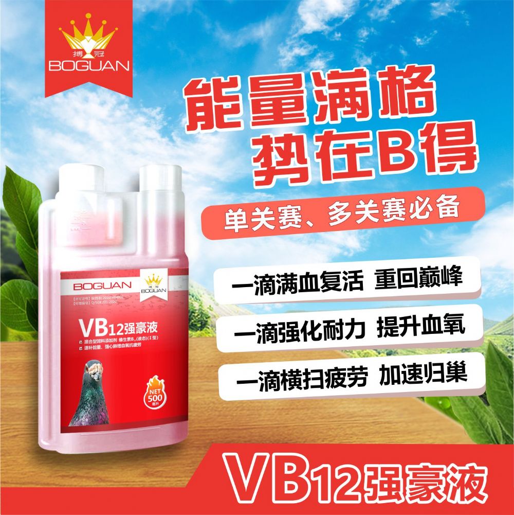 VB12Һ