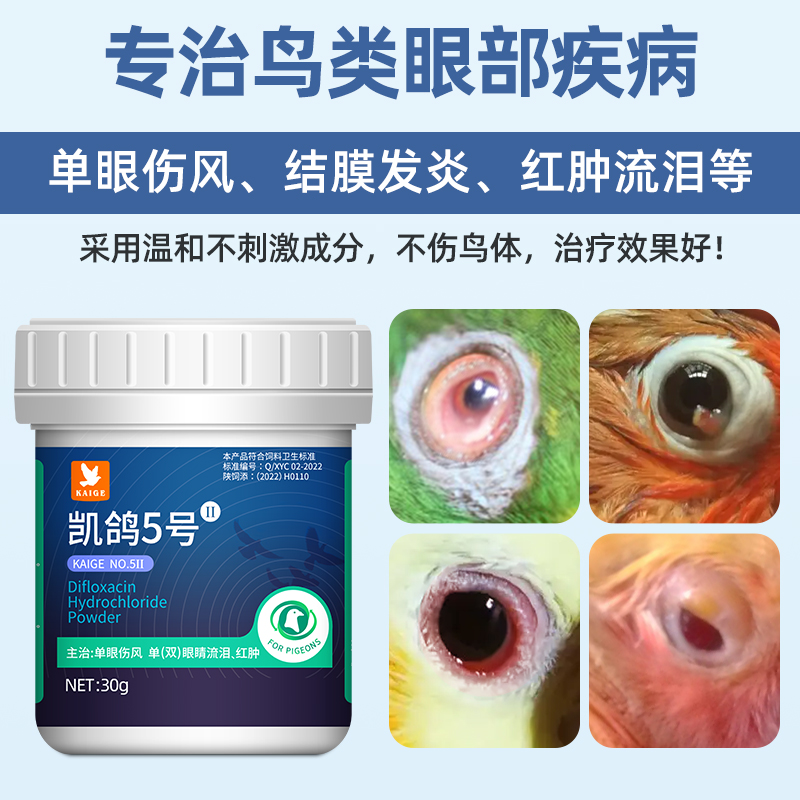 PˎP5̖(ho)30g/ƿP5̖(ho)̖(ho)