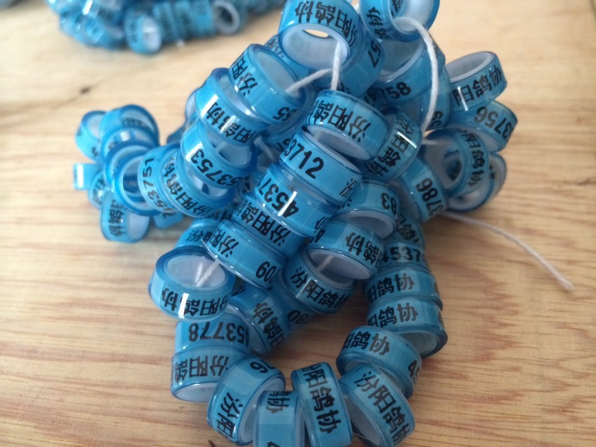 ȫرȭh(hun)5MM΢h(hun)\(chng)иش