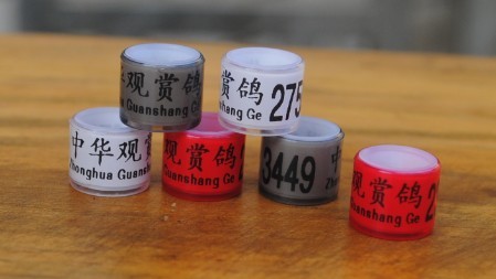 2012 ɫ(ni)X^ph(hun)h(hun)