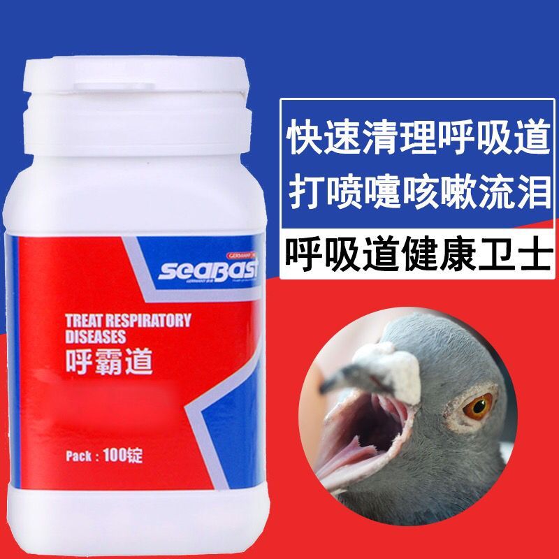 Ե--BԺKY