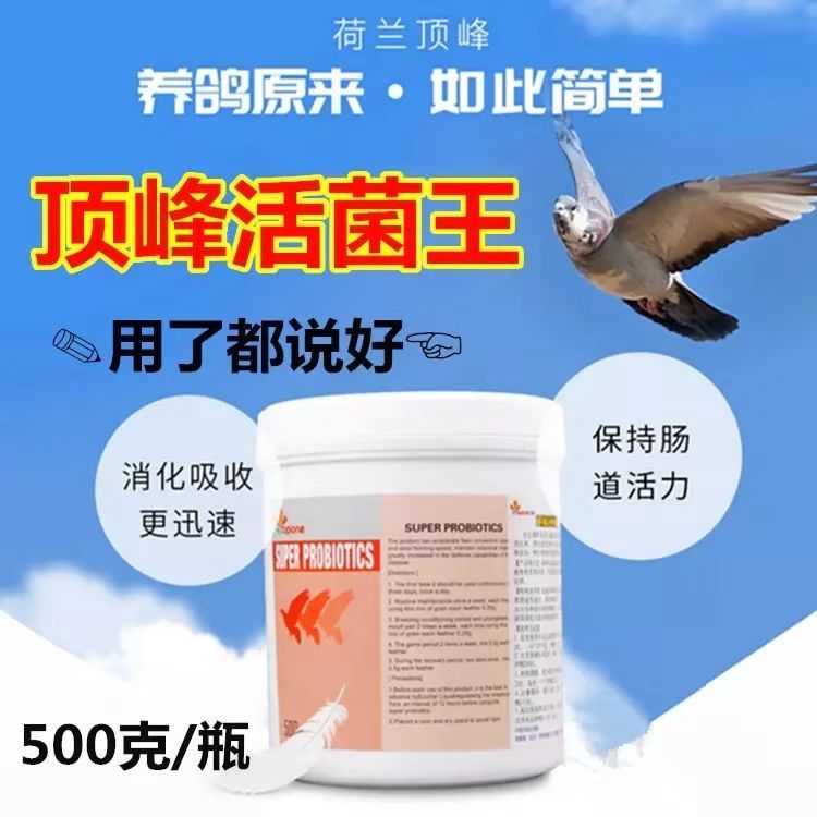픷ÿͰ500