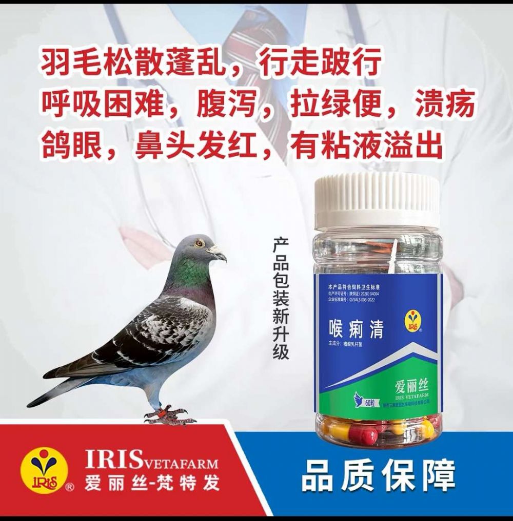 zˎ塿ȫ