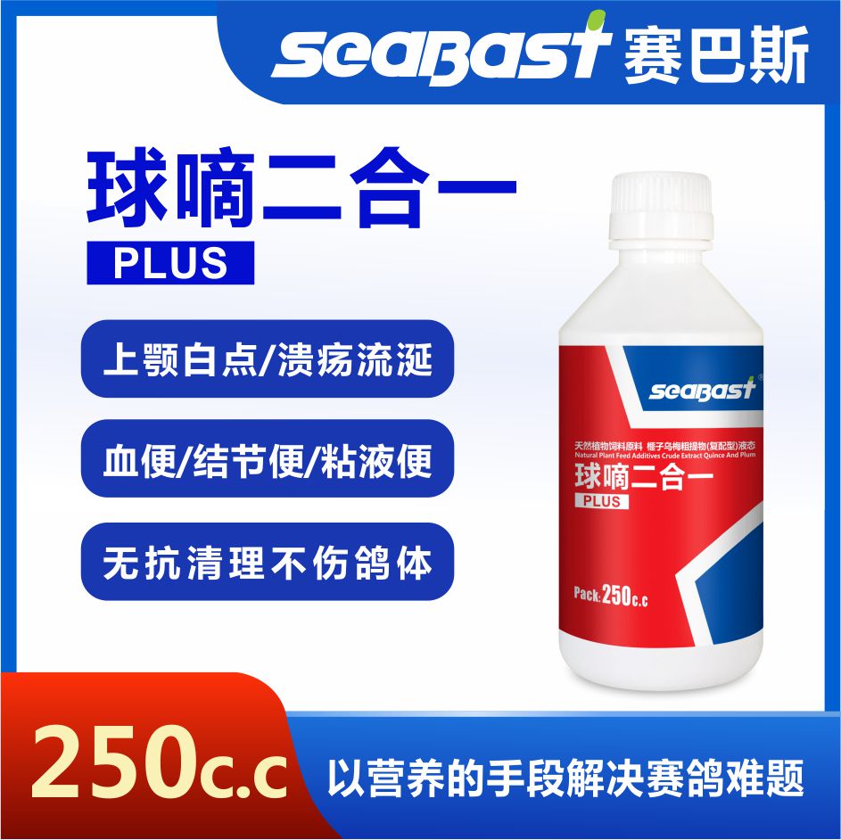 ֶһplus250