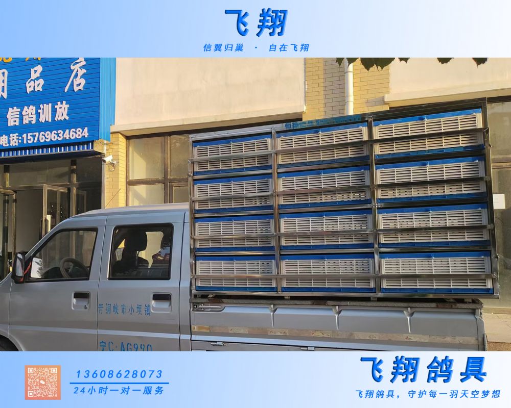 䰲f(xi)  w\/Ӗ(xn)Ż\/Ӗ(xn)w\/ِb