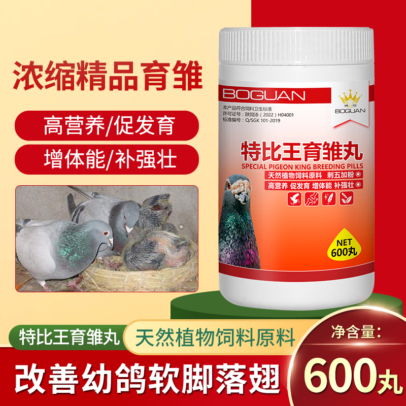 �ر������r��