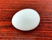 实心假蛋 厂家供应优质高仿真鸽子蛋非注水
