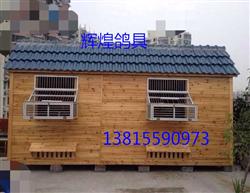 辉煌鸽具