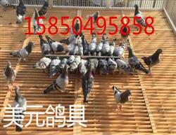 食槽