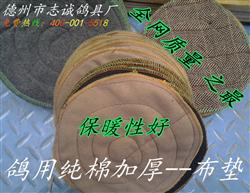 볲貼 Ӻ ޲