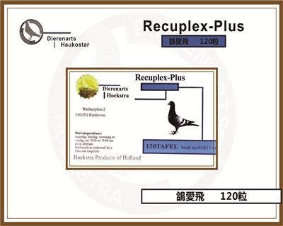 8  밮 Recuplex-Plus