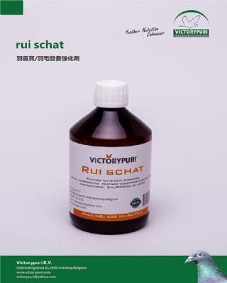 鱦/ëӪǿ.Һrui schat