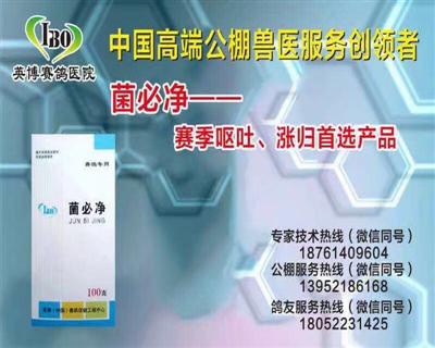 菌必净