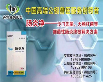 肠炎净