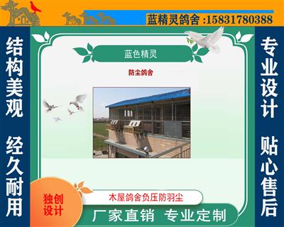 鸽舍建造