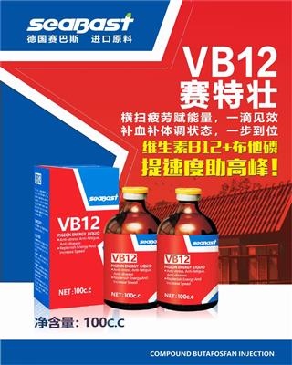 赛特壮VB12--神器红药水