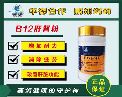B12肝肾粉