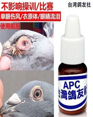 台湾鸽友社APC眼药水鹦鹉鸽用单眼伤风