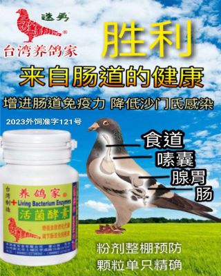 台湾养鸽家活菌酵素粒