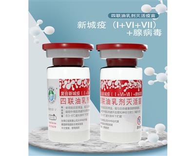 鸽复合新城疫（I+VI+VII型）+腺病毒四联油乳剂灭活疫苗