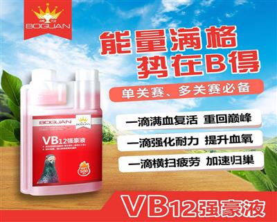 VB12强豪液