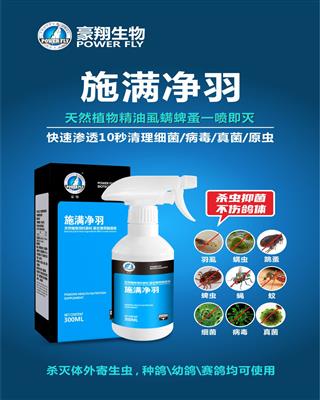 施滿凈羽