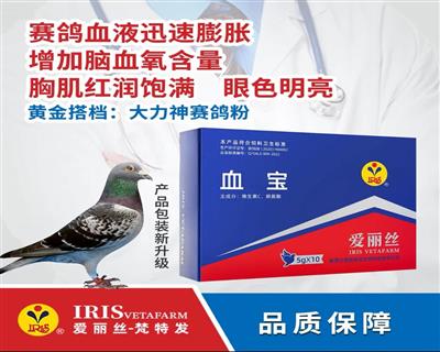 爱丽丝【血宝】提比赛状态速度