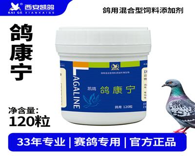 ������ 120��