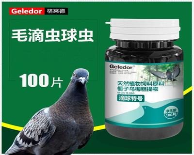 �������¡������غ� ë�γ�������һ